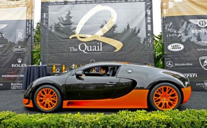 veyron-longtail.jpg