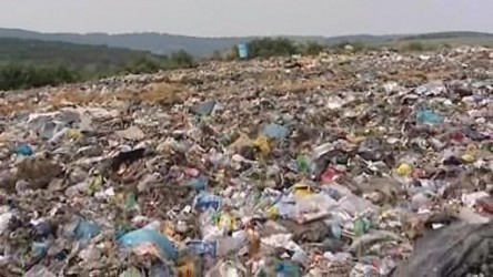 humanoidni-roboti--sberaci-papiru-pro-recyklaci.jpg